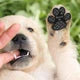 Dog Anti Slip Paw Grips Traction Pads with Stronger Adhesive for Hard Floor or Injuries